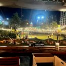 띵킹 독(Thinking Dog) 이미지