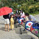 꽃양귀비마을 이미지