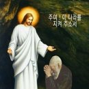 건강사랑 이미지