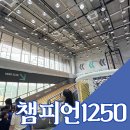 1250 | 대전 현대아울렛 키즈카페 챔피언1250 내돈내산 후기