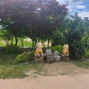 춘양중학교서벽분교장 이미지