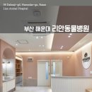 리안 동물병원 이미지