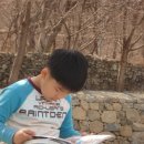 보리수하 이미지