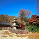 계곡풍경 이미지