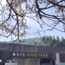 바다향기 | [대부도]바다향기수목원 나들이 후기
