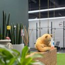 WOWM 이천 운동 아지트 이미지