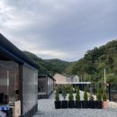 몸만가 | [광주 근교 캠핑] 내돈내산 두번이나 다녀온 담양 추월마루 솔직후기💭