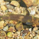 한국해양수산개발원(KMI) 이미지