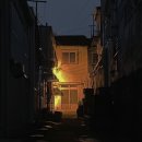 11월 블로그 제출합니다.