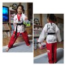 KTI청옥태권도 이미지