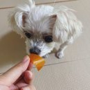 낼름