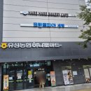 하레하레 유성점