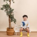 봄날사진관 네이버블로그