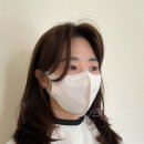 살롱알제