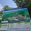 6795 | 금강수목원 ♥ 세종시 가볼만한곳 베스트10