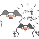 헤이치즈