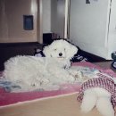 함안분식집