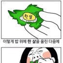 미면소 - 강릉시 | 미면소