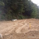 장승초등학교 이미지