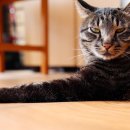 미소지음 이미지