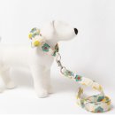 퍼피봉봉 이미지