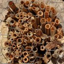 원보조기 이미지