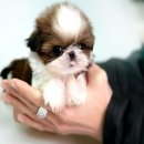 플러스365편의점 이미지