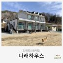 다래하우스펜션 이미지