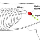 내포동물병원 이미지