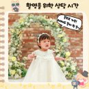 홍하우스 | (돌잔치 스냅) 경기홍갤러리 부대표님과의 돌잔치 촬영 후기 - 더파티하우스in판교