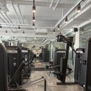 라미 Balance Fit 이미지