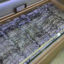 연세안경콘택트 이미지