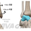 두류헬스 이미지