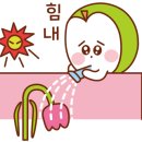 바른푸드 이미지