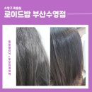 수영구미용실 로이드밤 수영점 밀본클리닉3단계+토모미케어팩 솔직 방문 후기