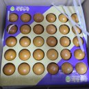 계림유통 이미지