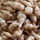 치매예방을 위한 뇌건강 레시피 | 초석잠 효능과 먹는 법: 뇌 건강과 치매 예방을 위한 천연 영양제 완벽 가이드