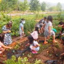 거산초등학교 이미지