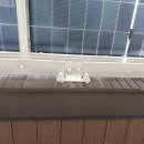 덕산1태양광 | 제주 구옥 리모델링 태양광 설치 애월 주택 차양식 시공 후기