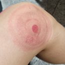 알앤디코리아 이미지