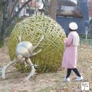 정원뜨개방 이미지