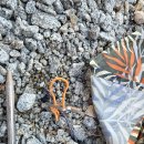 유사우나 | 바람이 무서웠던 강릉 프리미엄 유메모리캠핑장 솔직후기