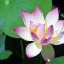 하동못안마을 이미지