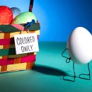 테리보더의 먹고+즐기고+ 사랑하라 이미지