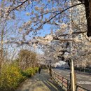 여의서로 이미지