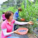 순창읍사무소 이미지