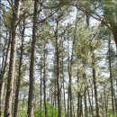 빼올약수터 이미지