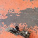 에이스카클리닉 이미지