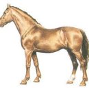 강건목장 이미지