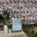 몽몽정원 이미지